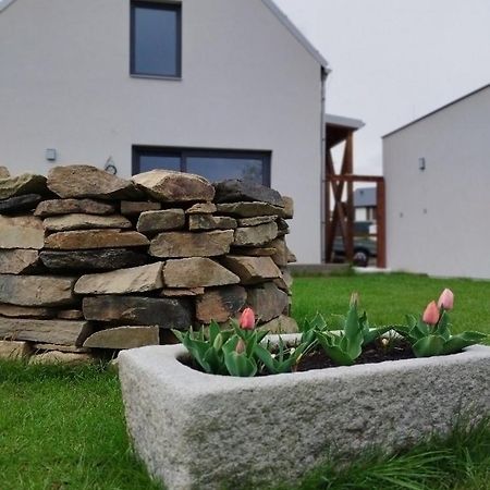 Apartman Dasa Frymburk Dış mekan fotoğraf
