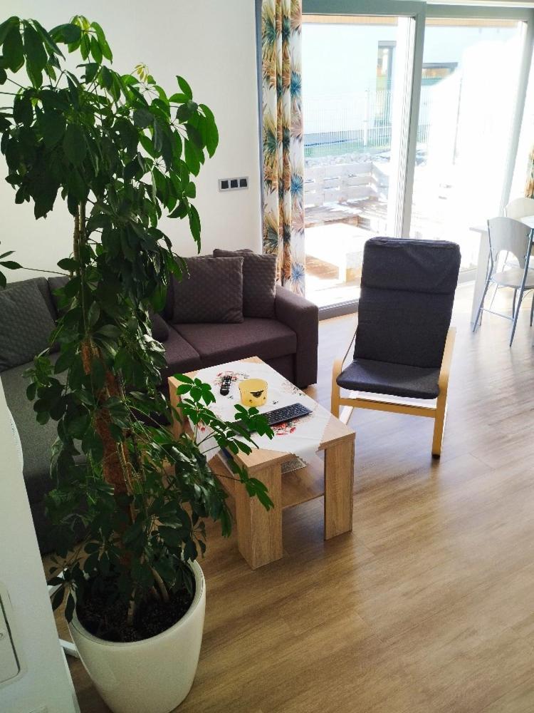 Apartman Dasa Frymburk Dış mekan fotoğraf