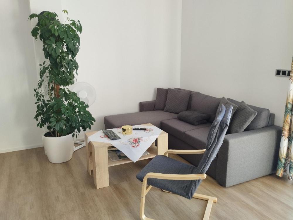 Apartman Dasa Frymburk Dış mekan fotoğraf